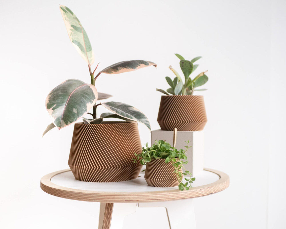 Minimum design collection nula haus