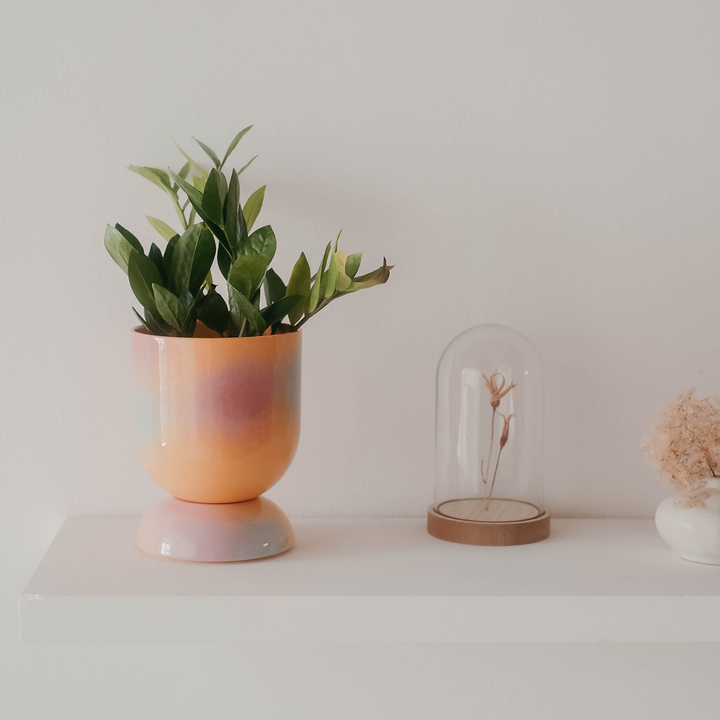 EUPHORIA BLUMENTOPF UND UNTERSETZER