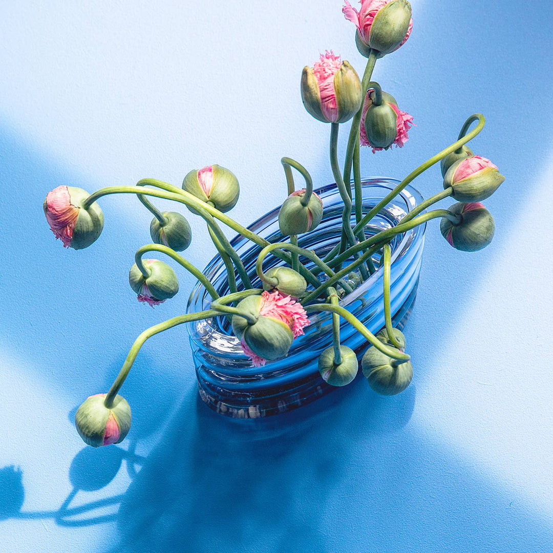 Nula Haus sale image