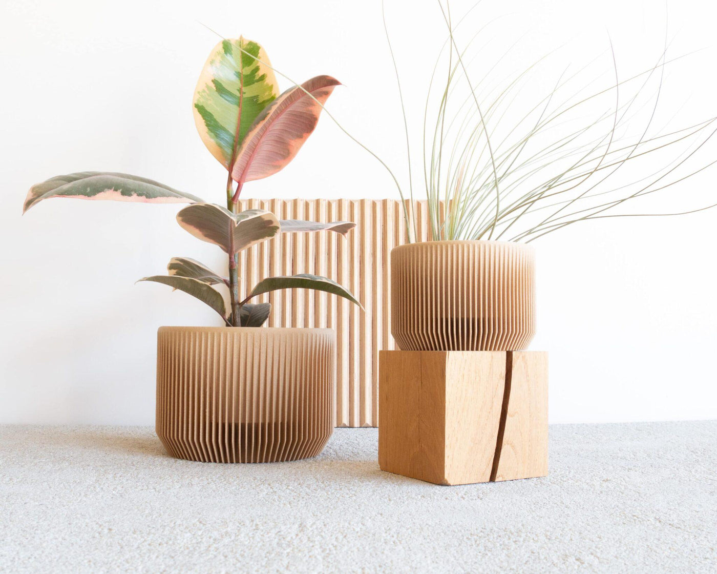 Pots and planters nula haus collection image