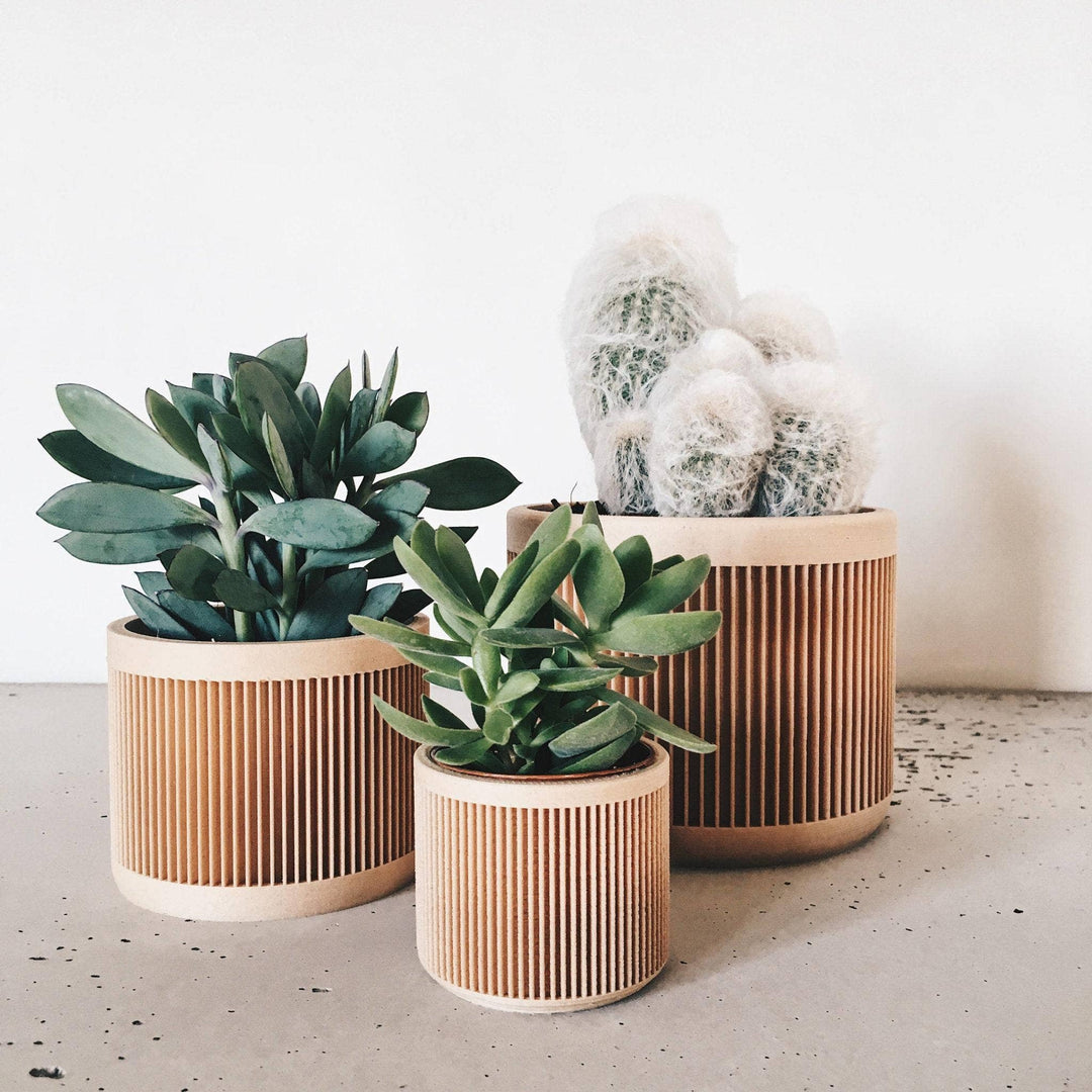 japanese succulent pots Japan Indoor Planter – Minimalist Wooden Design for Succulents & Cacti – Nula haus
